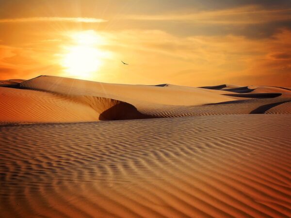 woestijn, zand, kaal-790640.jpg